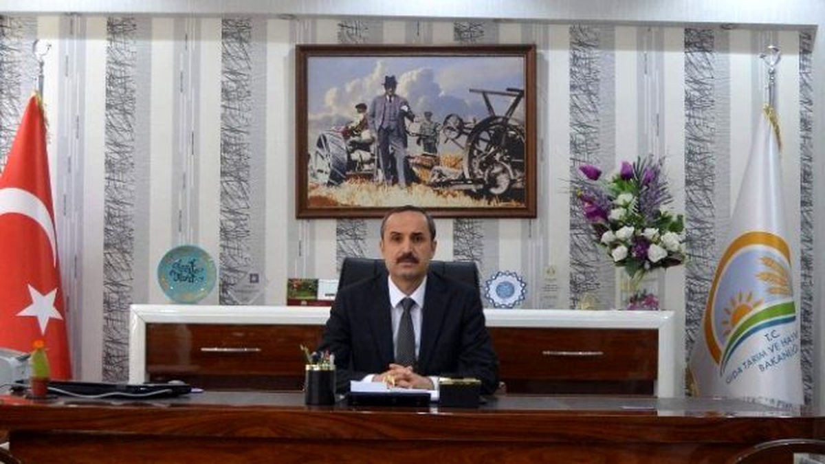Siirt\'te 250-300 Bin Dolayında Hayvan Doğumu Bekleniyor