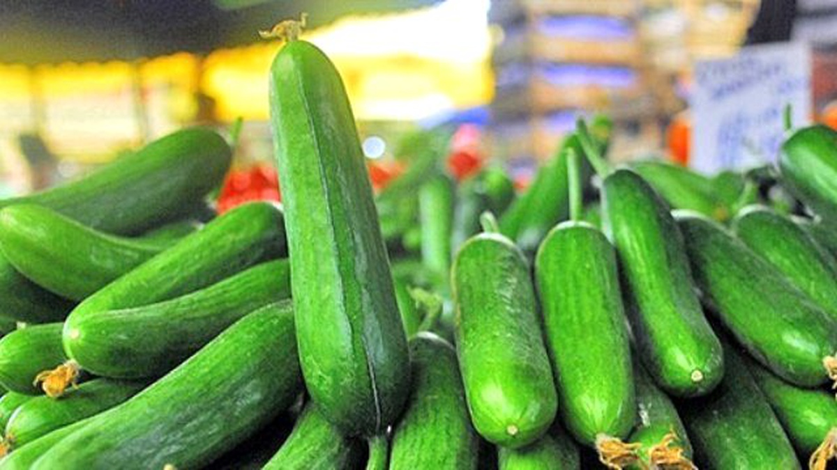 Şubat Ayında En Çok Salatalığın Fiyatı Arttı
