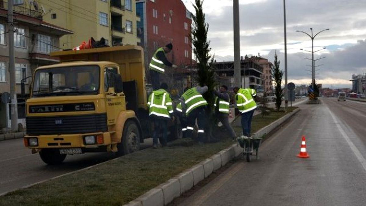 Tavşanlı\'da Ağaçlandırma Çalışmaları Başladı