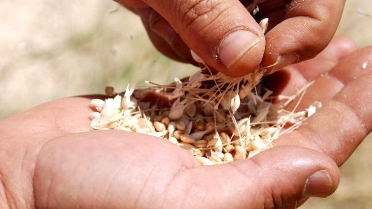 Kızıltepe Ticaret Borsası İşlemleri