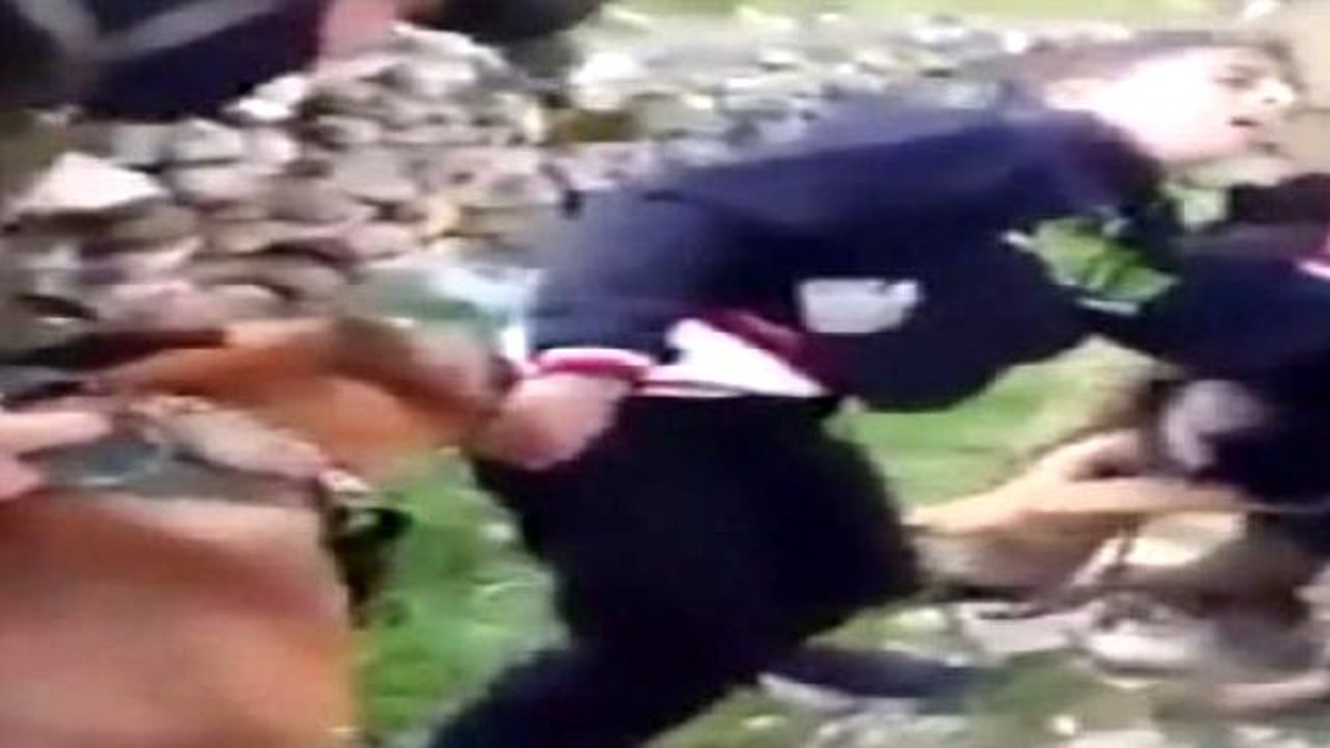 Filistinli Çocuğun Üzerine Köpeği Böyle Saldırttılar