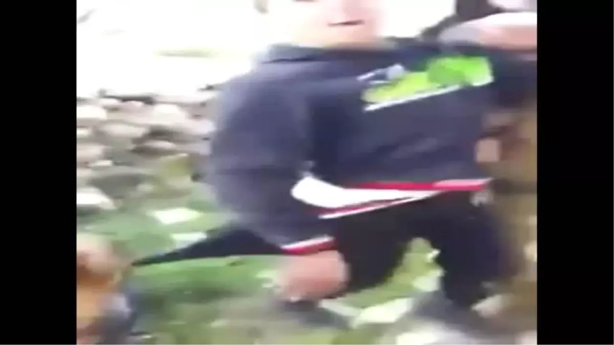İsrail Askerleri, Filistinli Çocuğun Üzerine Köpeği Böyle Saldırttı