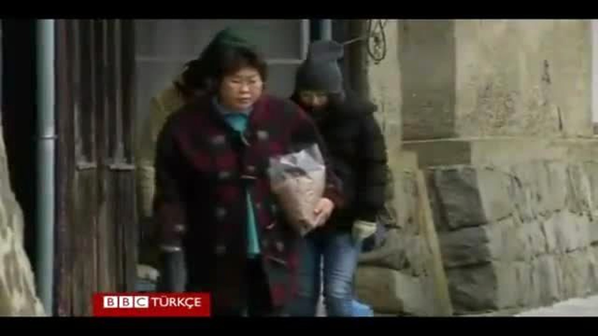 Japonya\'nın \'Kedi Adası\'nda 22 İnsan 120\'den Fazla Kedi Yaşıyor