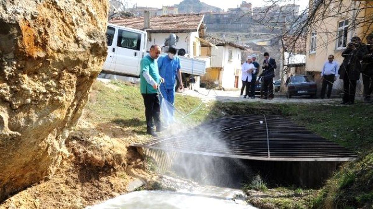 Kastamonu Belediyesi, Lavrasit Mücadelesi Başlattı
