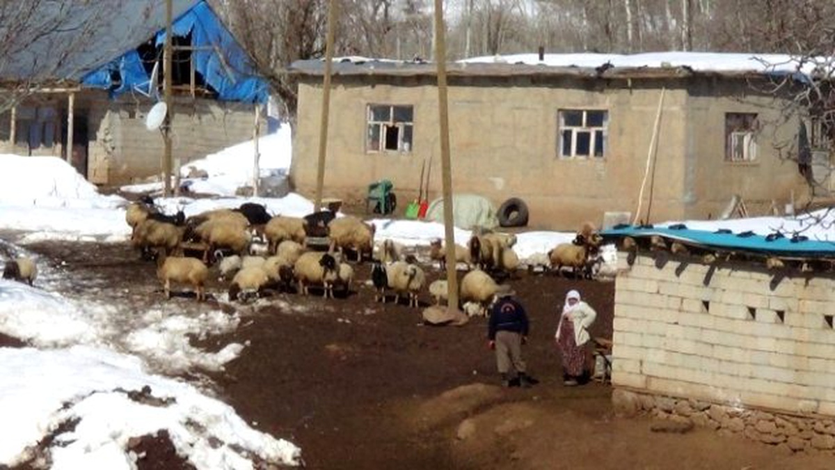 Kato Dağında Artık Kuzu Sesi Yankılanıyor