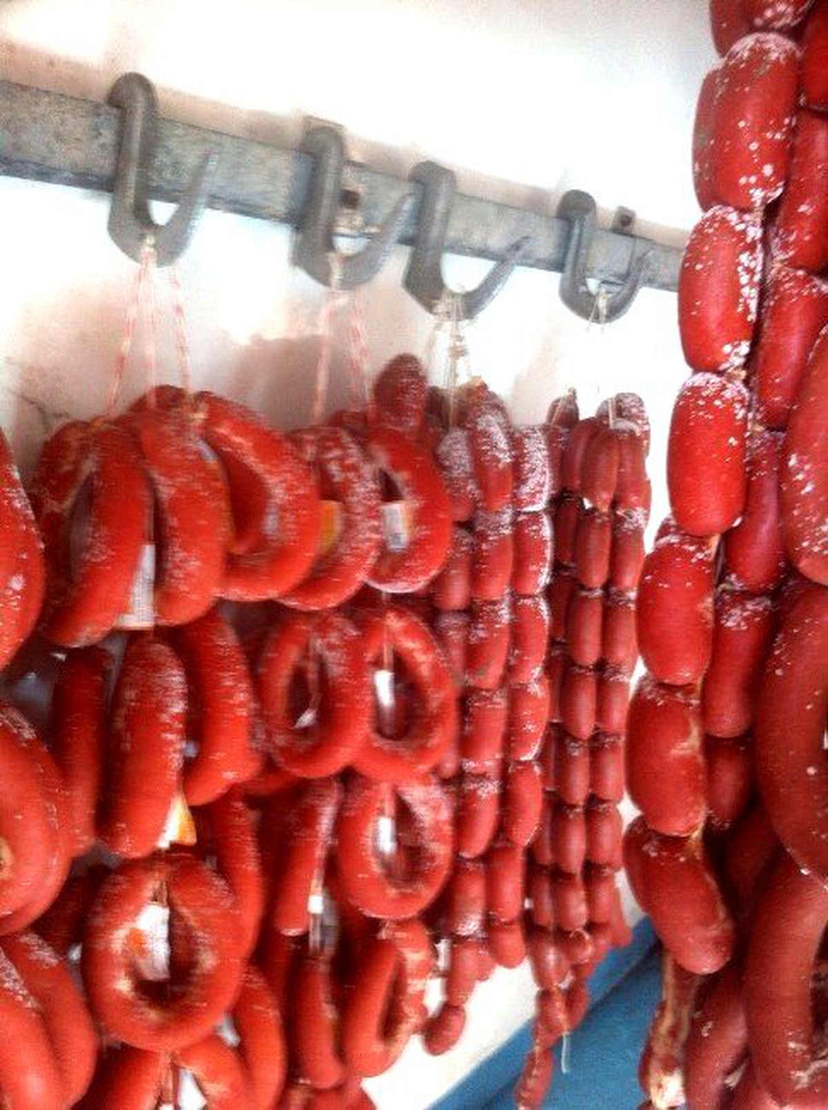 Muğla\'da Tarihi Geçmiş Sucukları Yıkayan Şahıslar Yakalandı