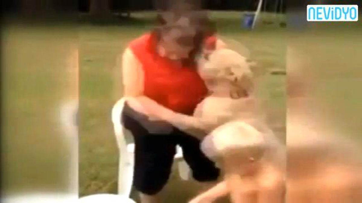 Pitbull Sahibinin Yüzünü Parçaladı