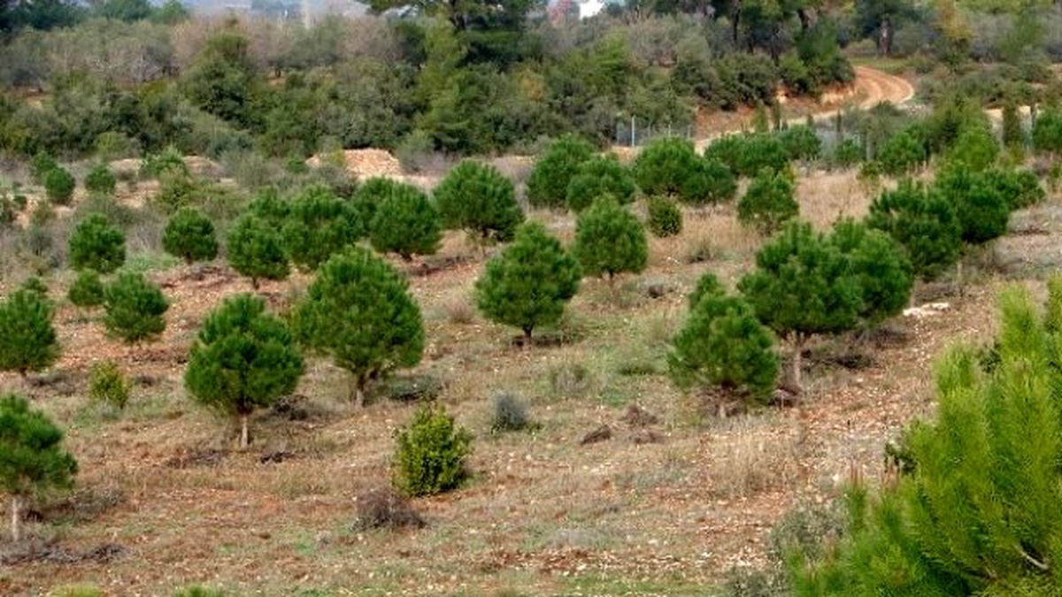 Tunç\'tan, 400 Kişilik İstihdam Müjdesi