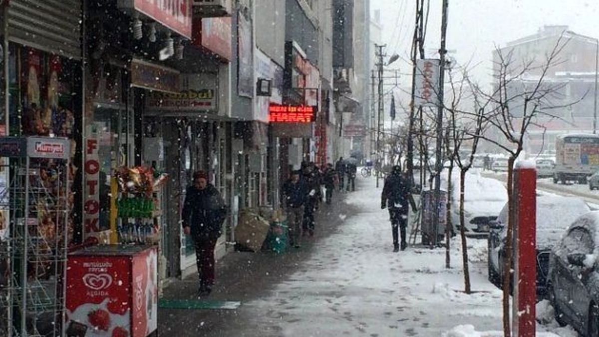 Van\'da Kar Yağışı ve Sis