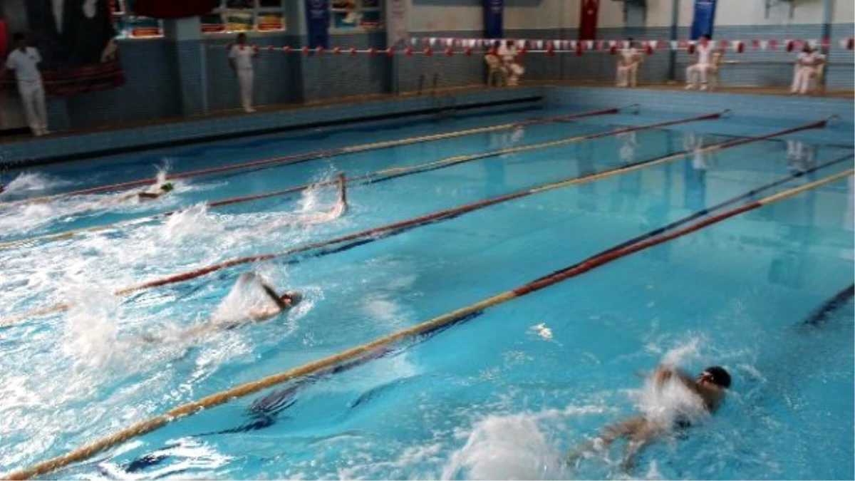 Yüzme Yarı Final Müsabakaları Sona Erdi