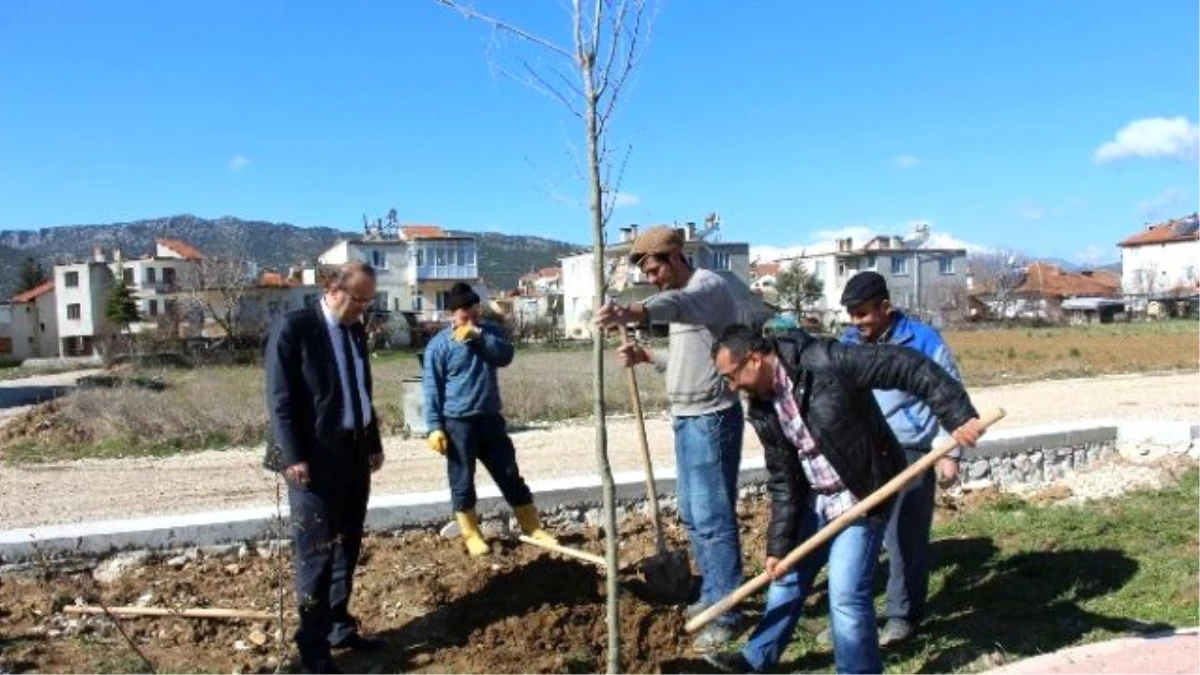 Bucak\'ta Parklar Ağaçlandırılıyor