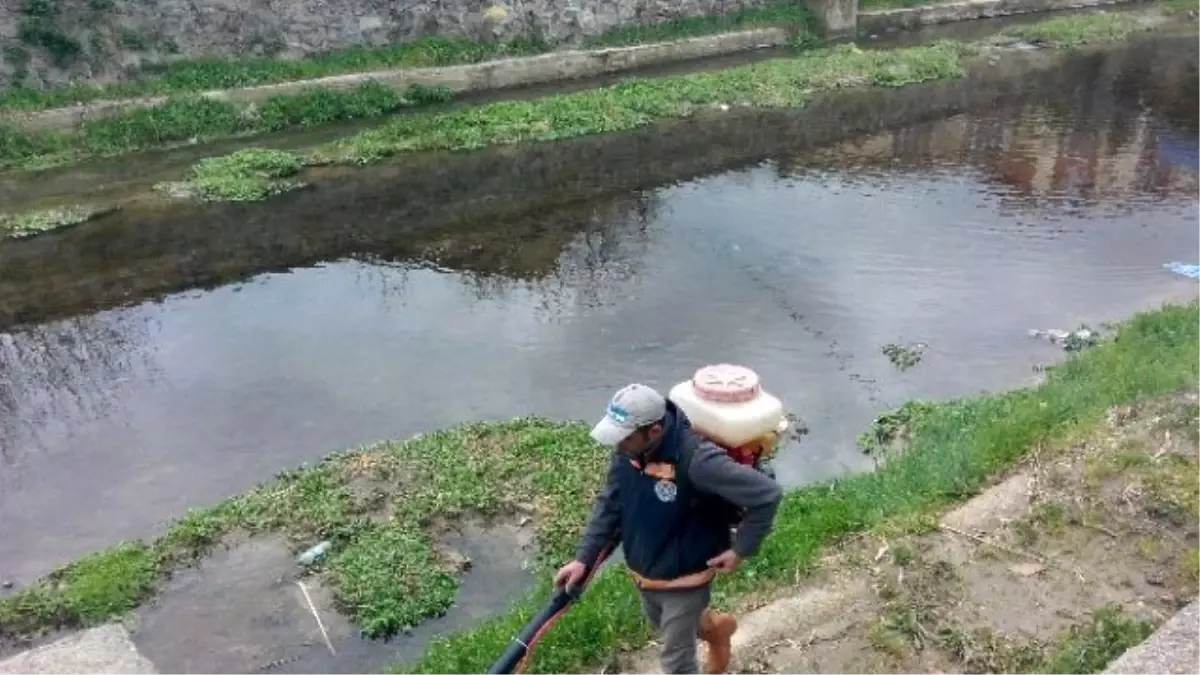 Çınarlı Dere İlaçlama Çalışmaları Başladı