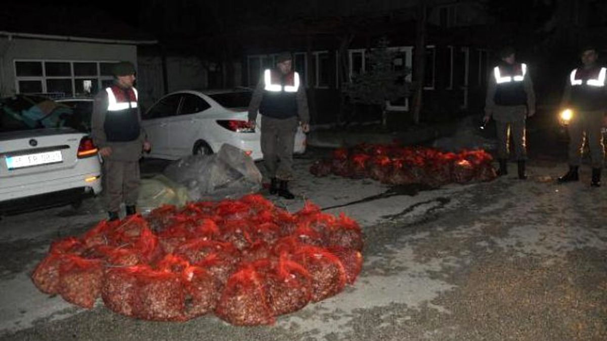 Kaçakçılığın Yeni Gözdesi \'Midye\'
