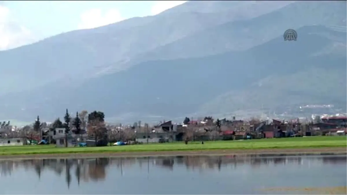 Sağanak Tarım Arazilerine Zarar Verdi