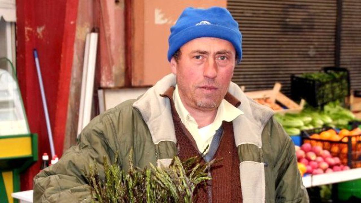 Sarmaşık ve Kedirgen Tezgahta Yerini Aldı