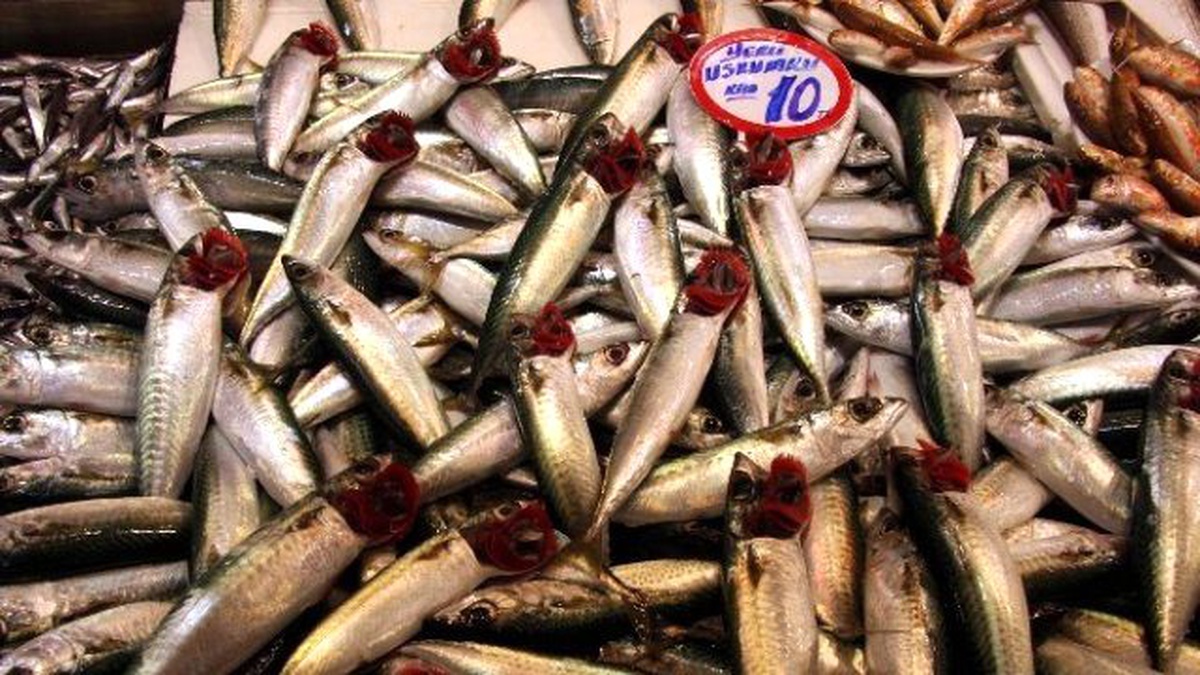 Balık Ucuzladı, Vatandaşın Yüzü Güldü