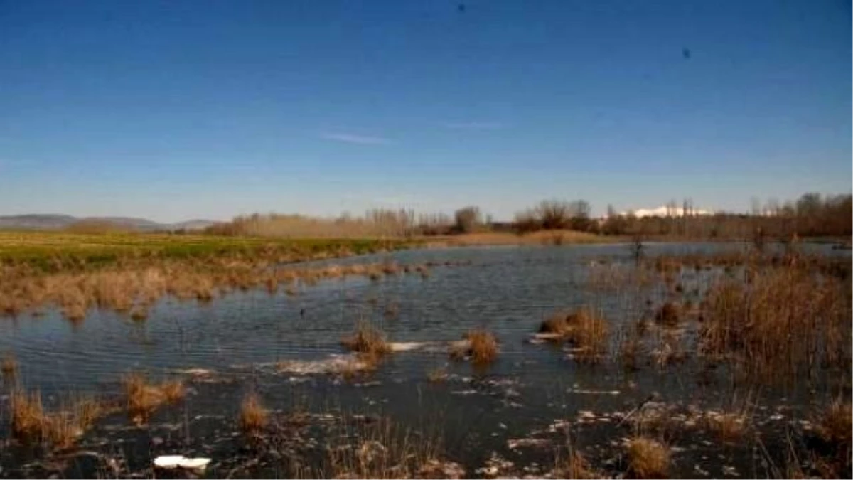 Baraj Kapakları Açıldı, Tarım Arazilerini Su Bastı