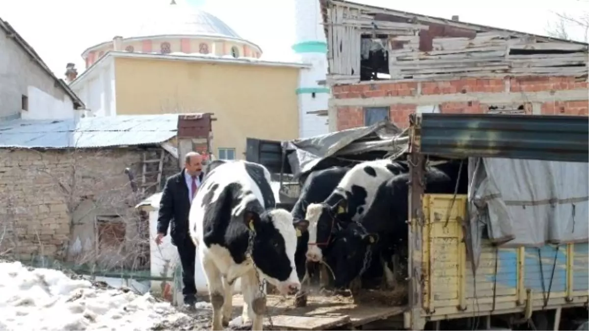 Bir İlk\'de 184 Sayılı Bayburt Tarım Kredi Kooperatifinden