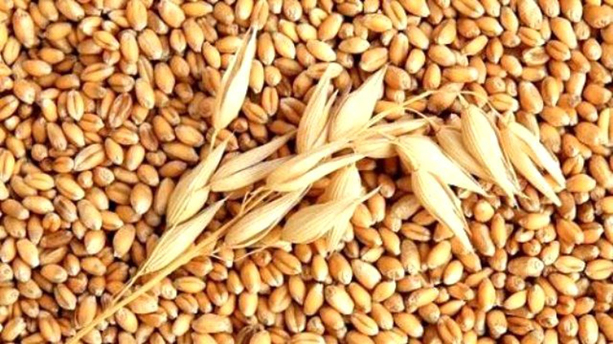 Kızıltepe Ticaret Borsası İşlemleri
