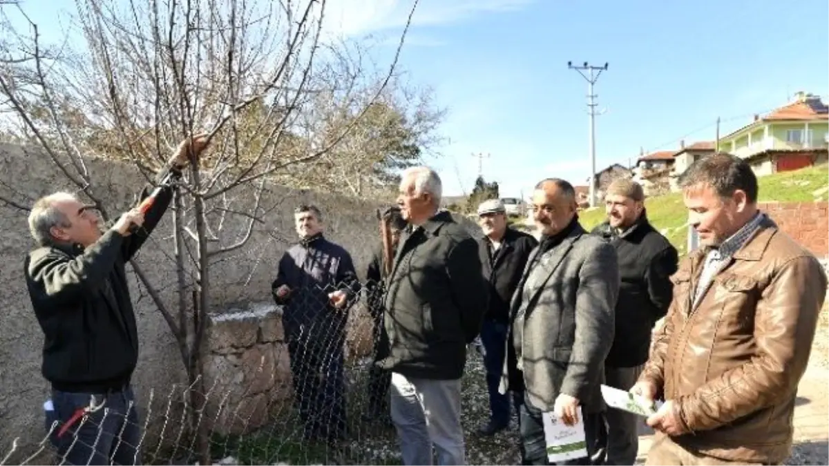 Tepebaşı Çiftçinin Yanında