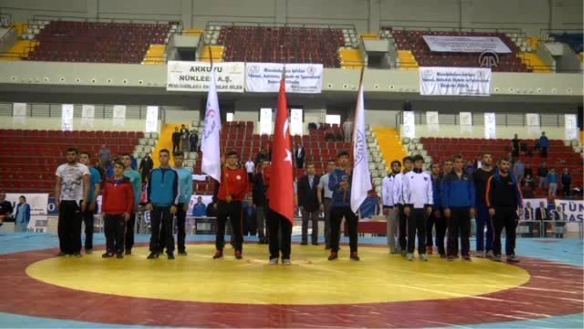 Türkiye Büyük Erkekler Grekoromen Güreş Şampiyonası