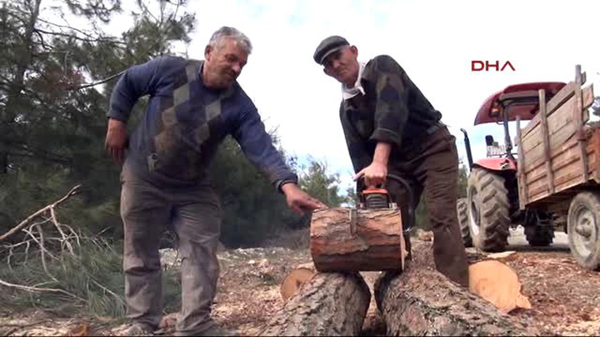 Zonguldak Emekli Madenci Ek Gelir İçin Ormanda Balta Sallıyor
