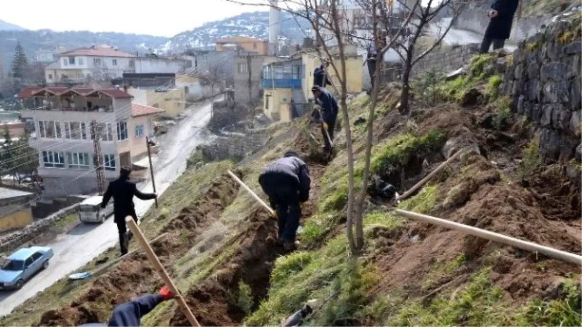 Bin Fidan Hacılar\'da Toprakla Buluştu