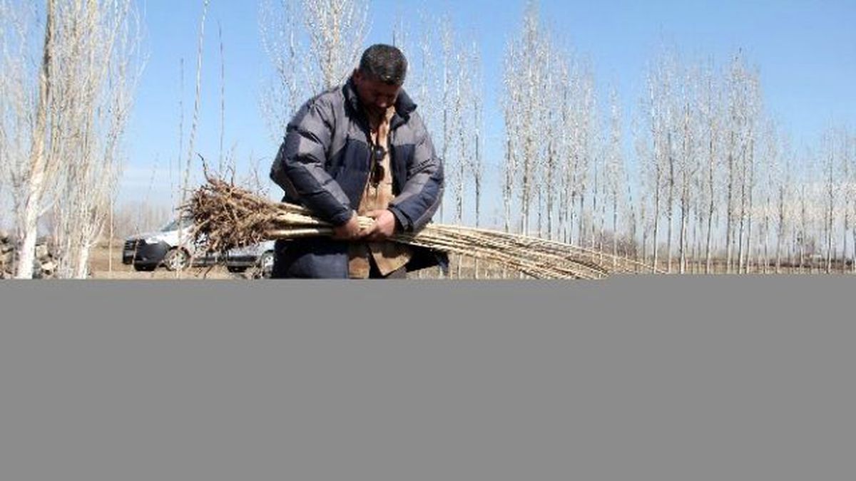 Cemre\'nin Toprağa Düşmesiyle Birlikte Fidan Dikimi Başladı
