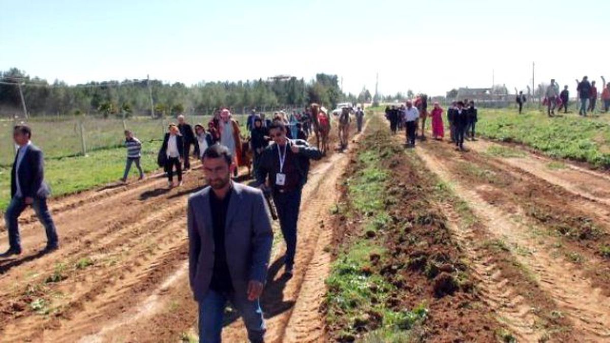 Harran\'da Özgecan Aslan Anısına Hatıra Ormanı