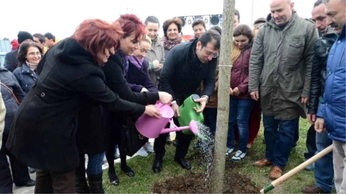 Öldürülen Her Kadın İçin Bir Ağaç Dikildi