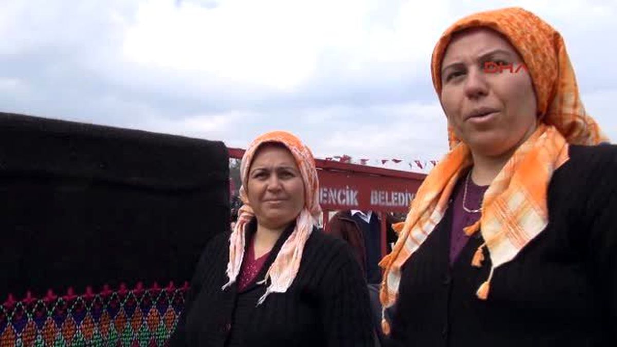 Germencik\'te Ücretsiz Deve Güreşi Keyfi