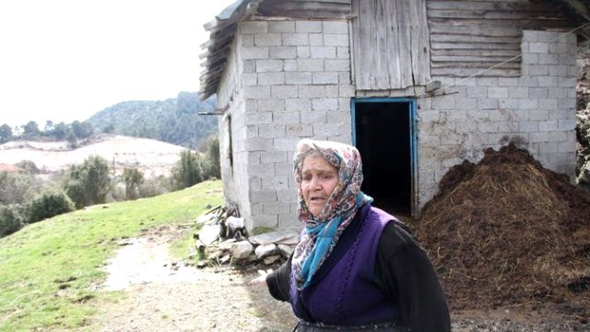 Hatice Nine Çalınan Hayvanlarına Ağladı