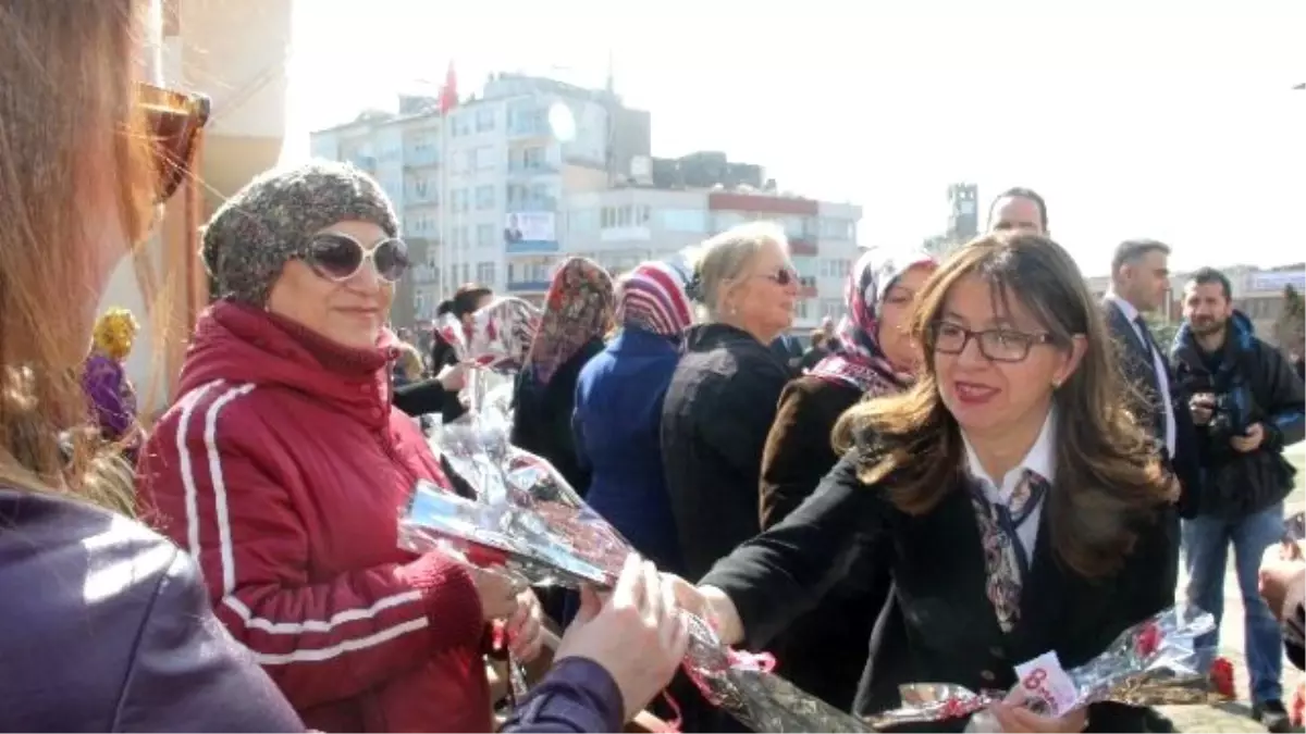 Kadın Validen Kadınlara Karanfil