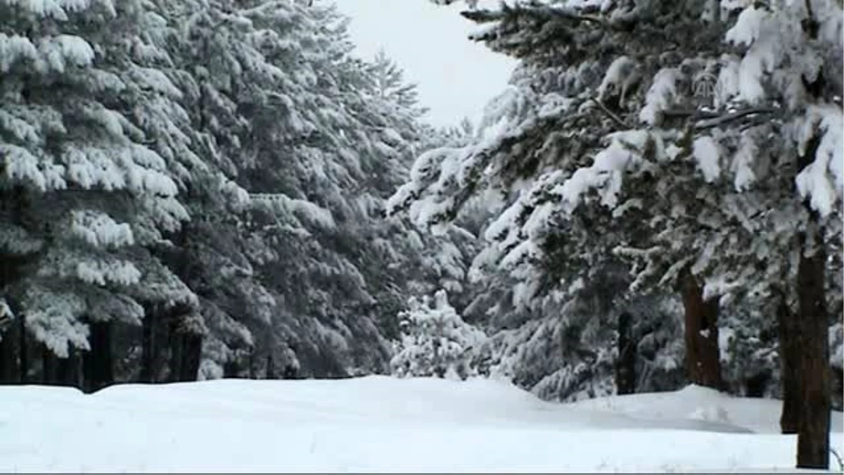 Karadeniz\'de Av Turizmi Yaygınlaştırılacak