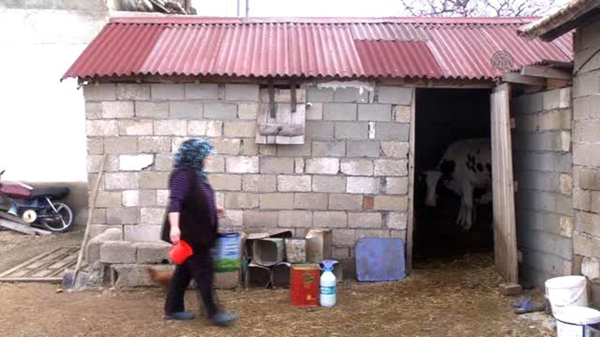 Köylü Kadınlar Günlerinden Habersiz, İşlerinin Başında