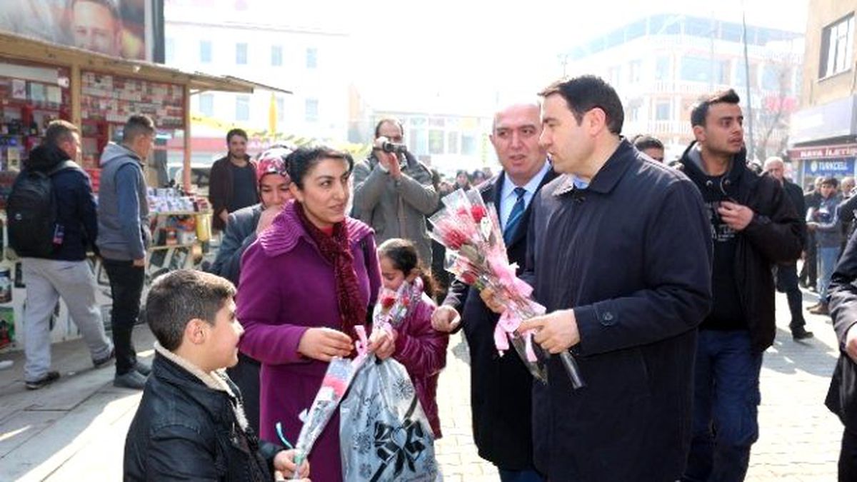 Vali Musa Işın Karanfil Dağıttı