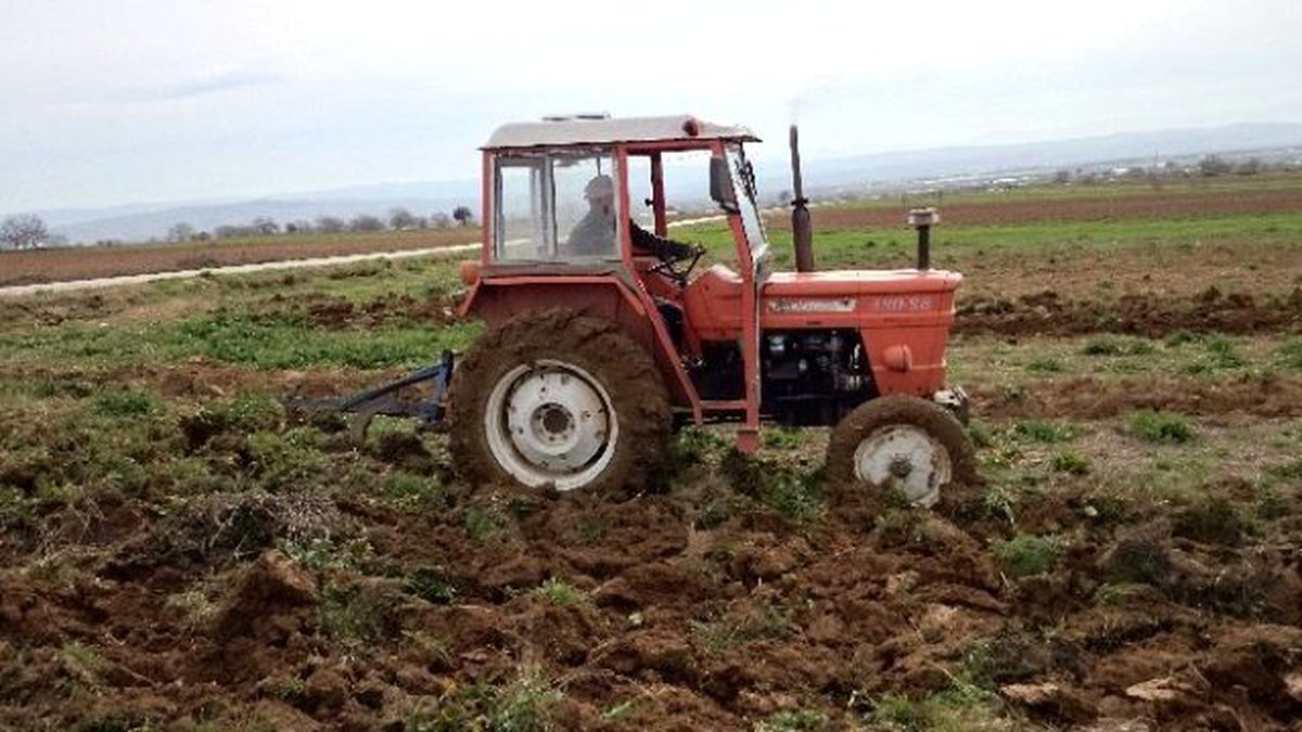 Yenişehir\'de Ayçiçeği Ekimi Başlıyor