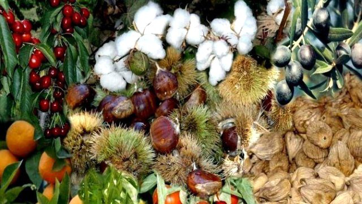 Aydın\'da Çiftlik Muhasebe Veri Ağı Büyüyor