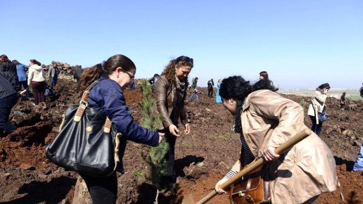 Dünya Kadınları Kent Ormanı\'nda Fidan Dikti
