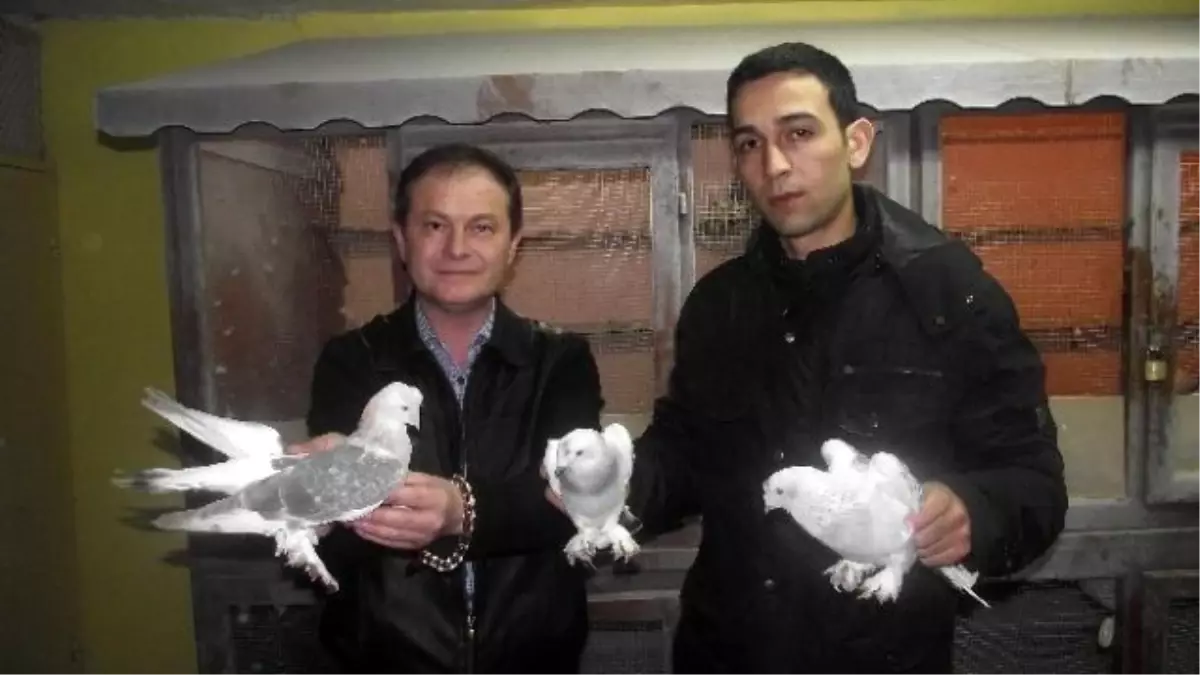 Eskişehir'in Güvercin Tutkunları