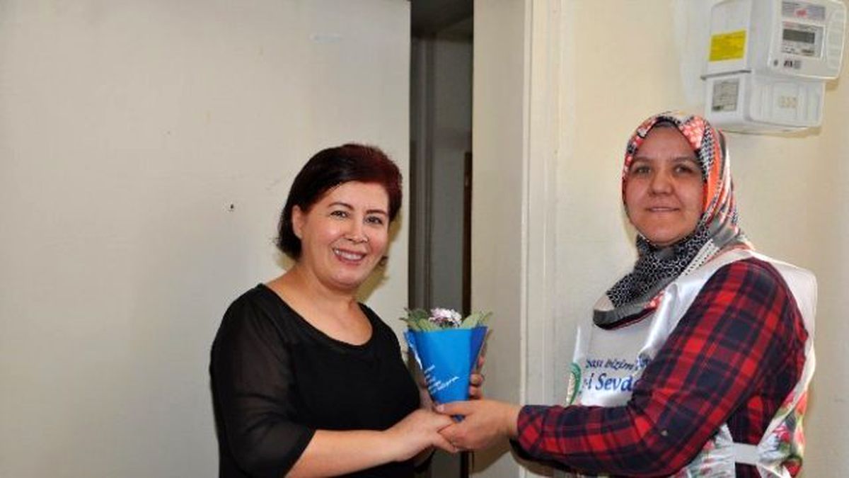 Gölbaşılı Hanımlara Afrika Menekşesi