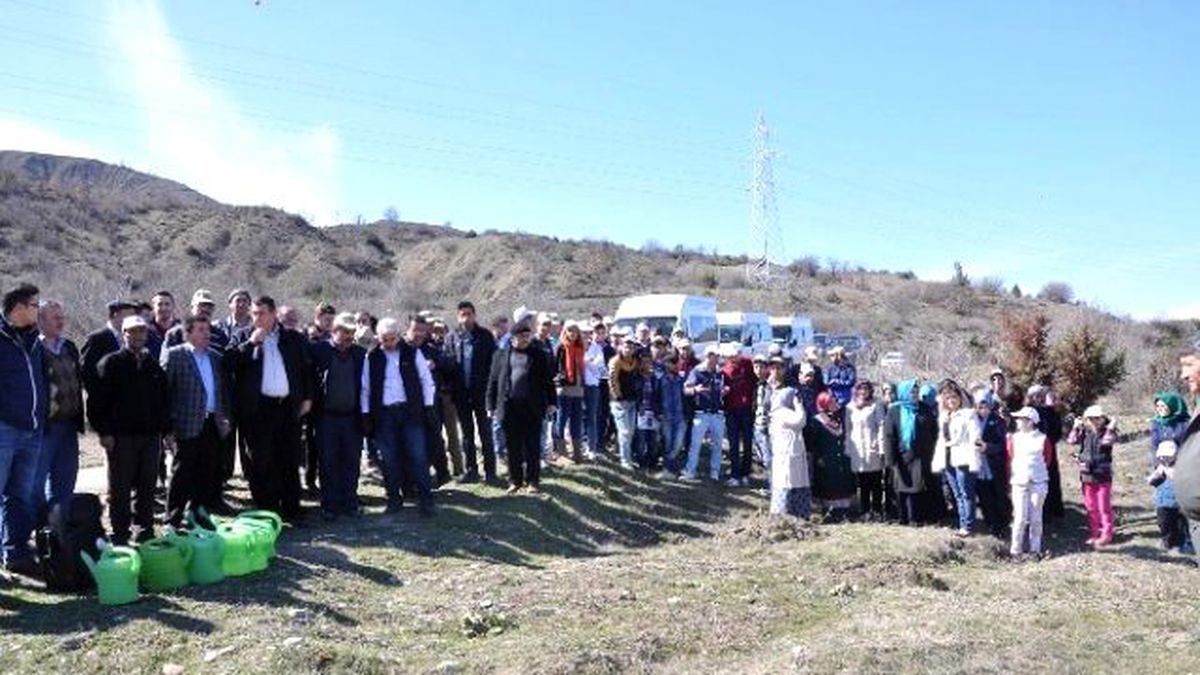 Koyulhisar\'da Bin Fidan Toprakla Buluştu