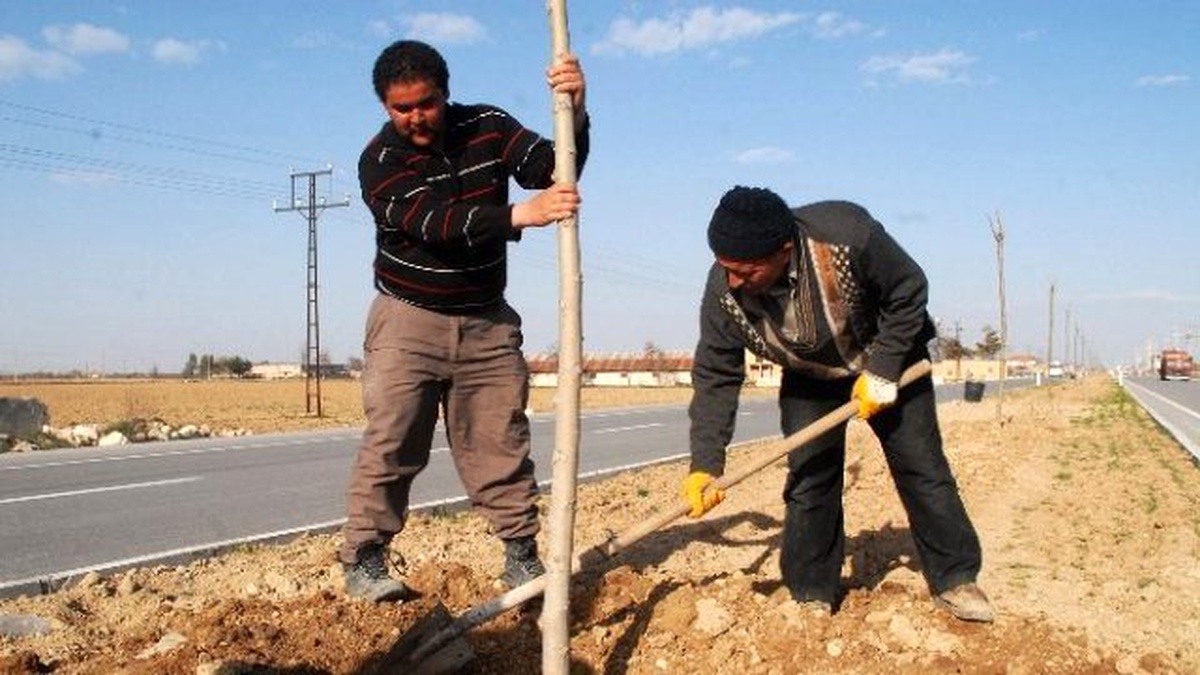 Karaman Belediyesi 15 Bin Fidan ile 15 Bin Gül Dikiyor