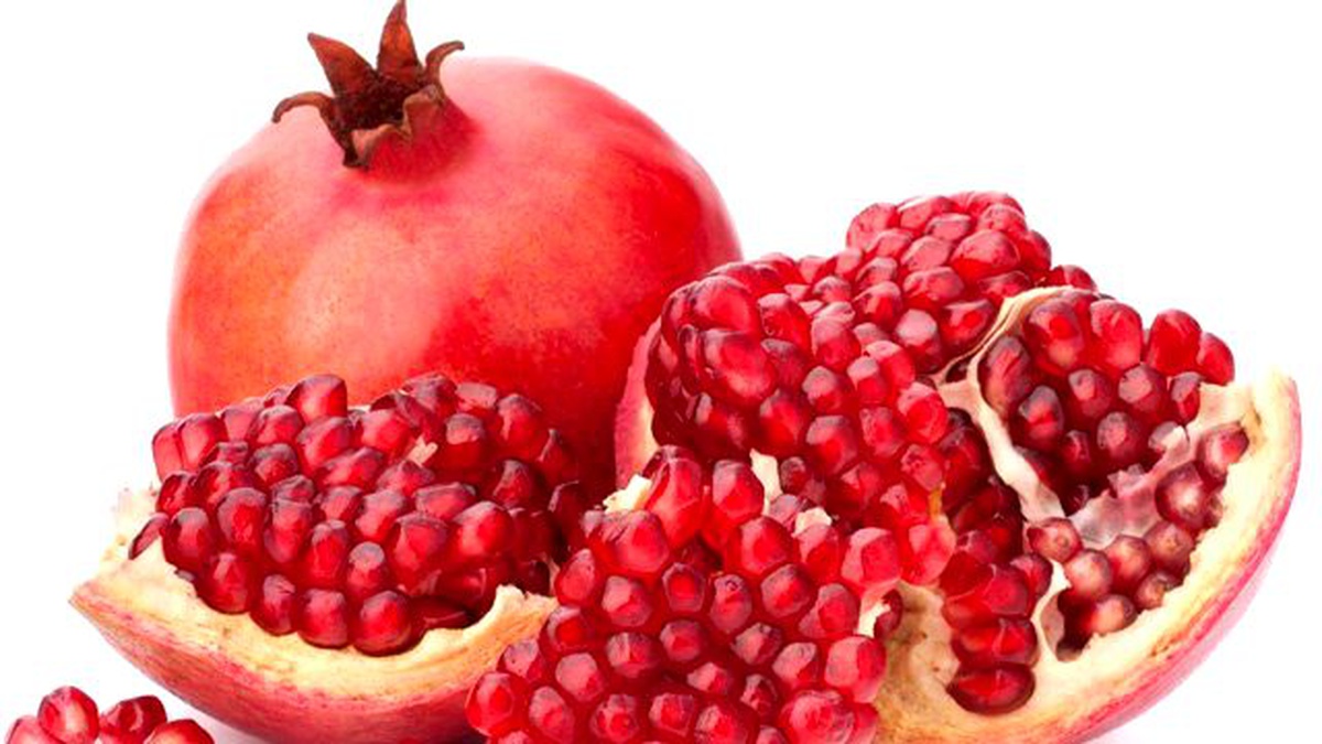 Urfalı Organik Nar Üreticileri Heyecanlı