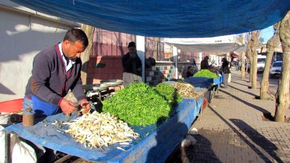 Siverek\'te Baharın Müjdecisi Bitkiler Pazara İndi