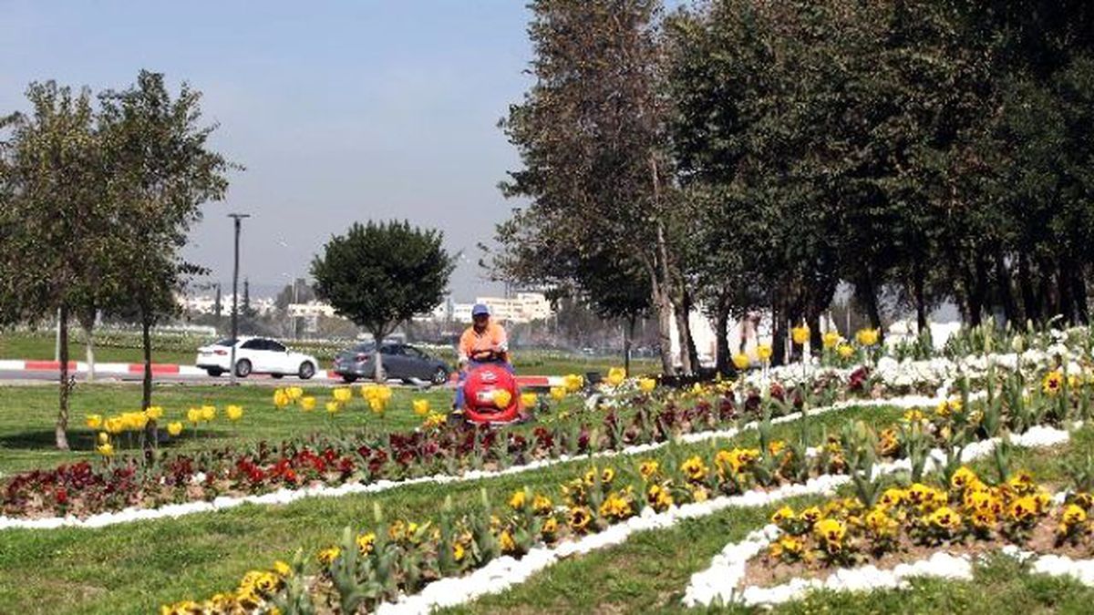 Baharın Müjdecisi Laleler Antalya\'yı Süslüyor
