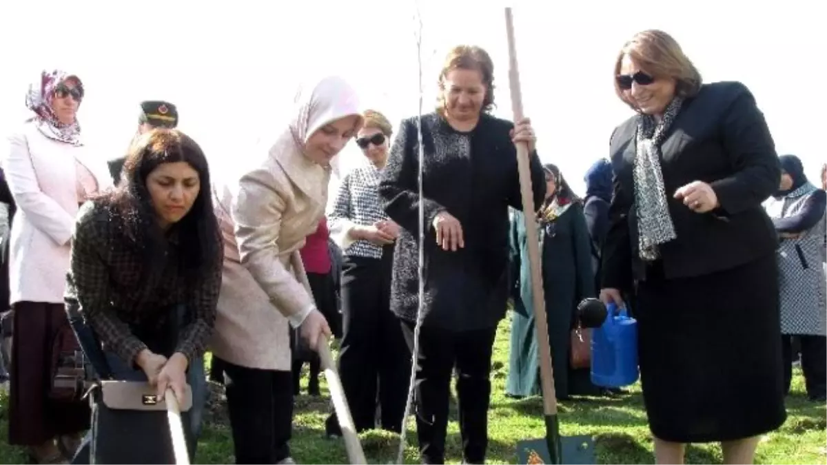 Bereket Ormanı'nda Bin Fidan Toprakla Buluştu
