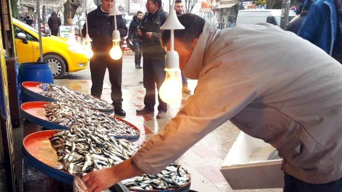 Hamsinin Fiyatı Normale Döndü