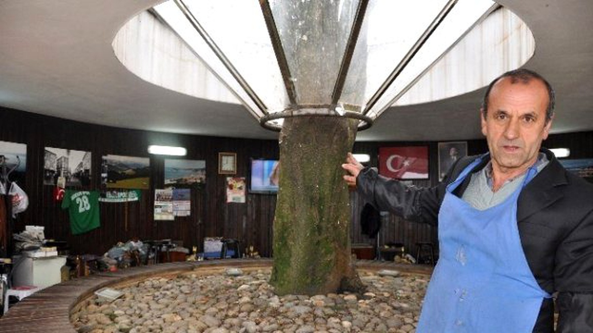 Her Şey Ağaç Kesilmesin" Diye Yapıldı