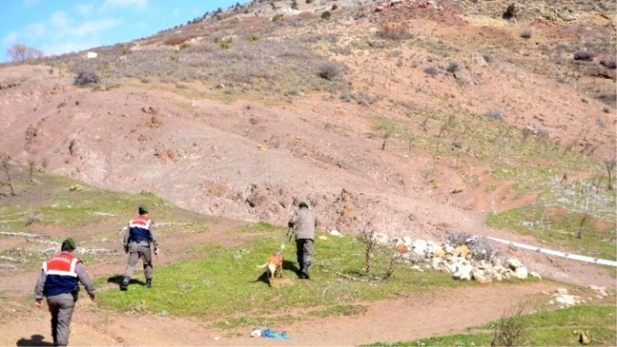 Jandarma Bomba Uzmanı Köpeklerle Yeniden Arama Yaptı